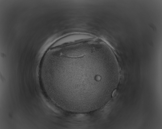 X0000090870151200708031016