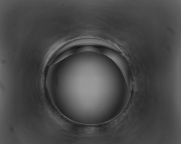 X0000090870152200708031016