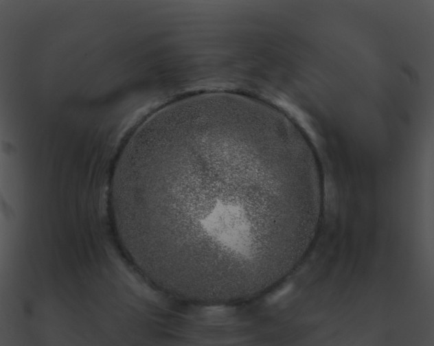 X0000090870153200708031016