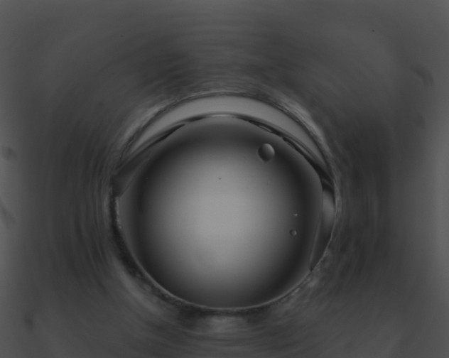 X0000090870154200708031016