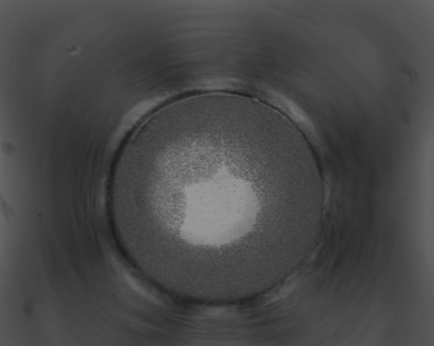 X0000090870155200708031016