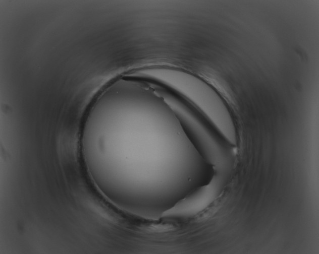 X0000090870156200708031016