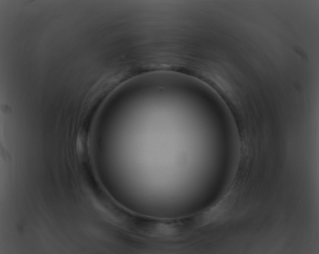 X0000090870166200708031016