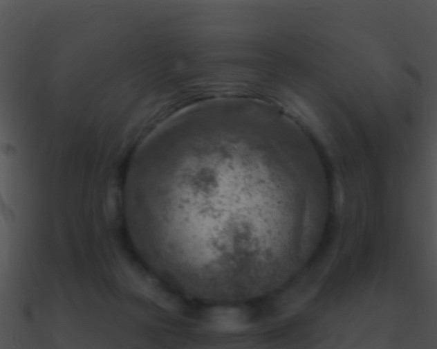 X0000090870169200708031016