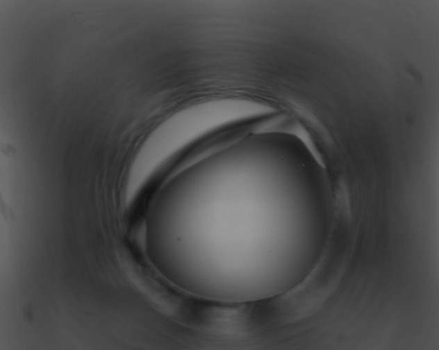 X0000090870170200708031016