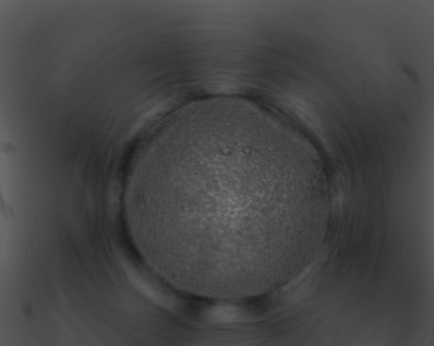 X0000090870171200708031016