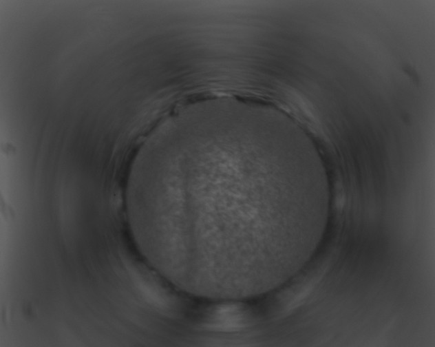 X0000090870173200708031017