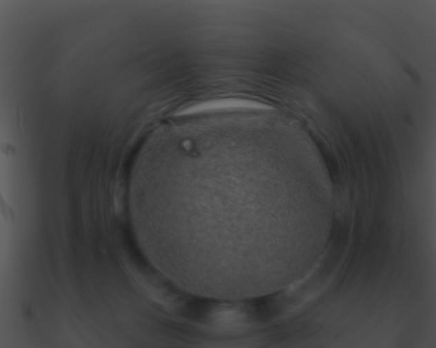 X0000090870175200708031017