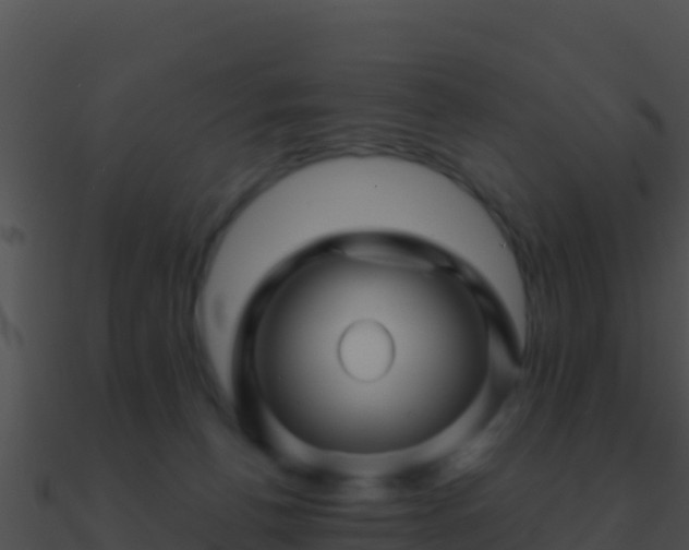 X0000090870176200708031017