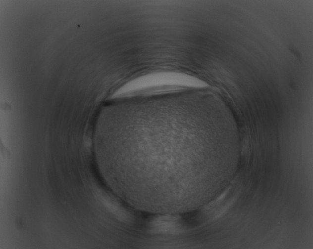 X0000090870179200708031017