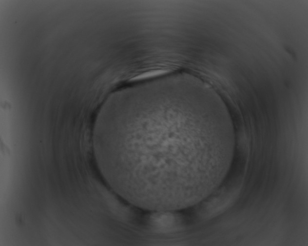 X0000090870181200708031017