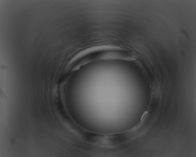 X0000090870182200708031017