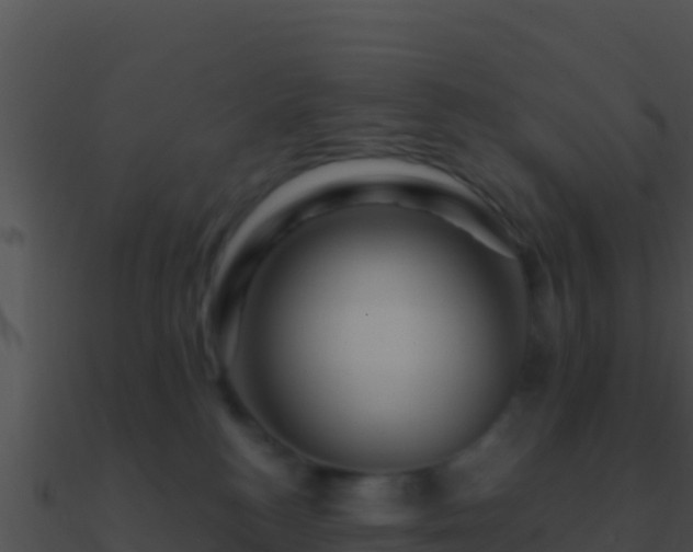 X0000090870184200708031017