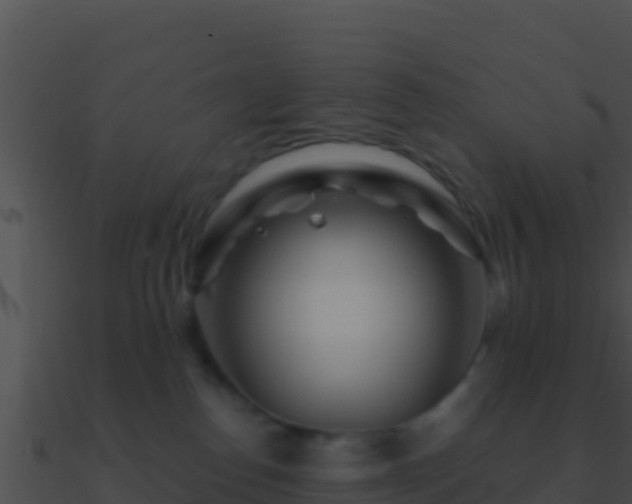 X0000090870186200708031017