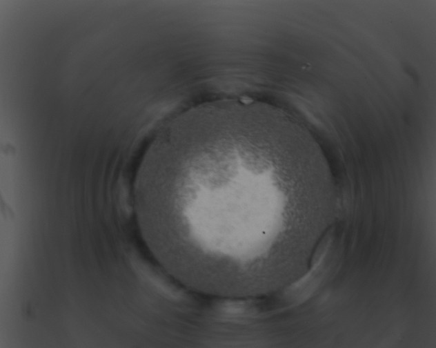 X0000090870187200708031017