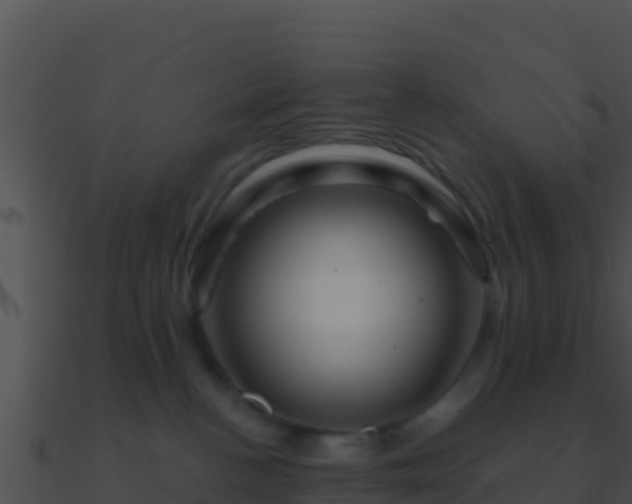 X0000090870188200708031017