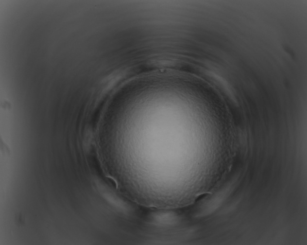 X0000090870189200708031017