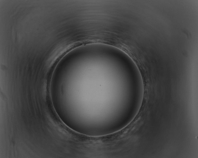 X0000090870194200708031016