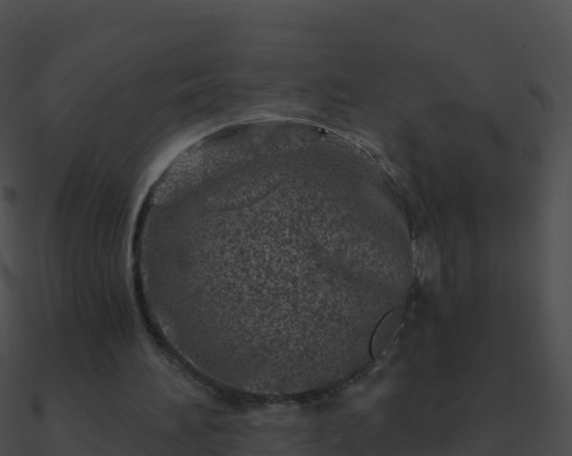 X0000090870196200708031016