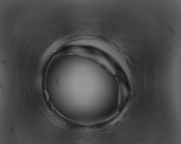 X0000090870197200708031016