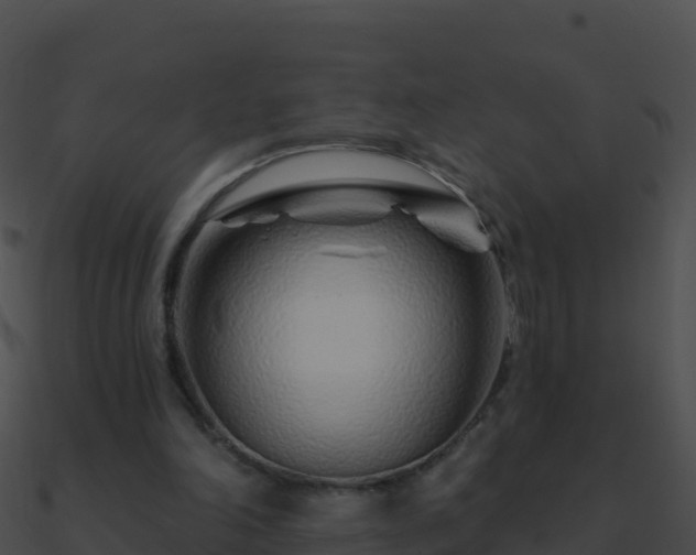 X0000090870198200708031016