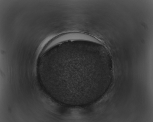 X0000090870200200708031016