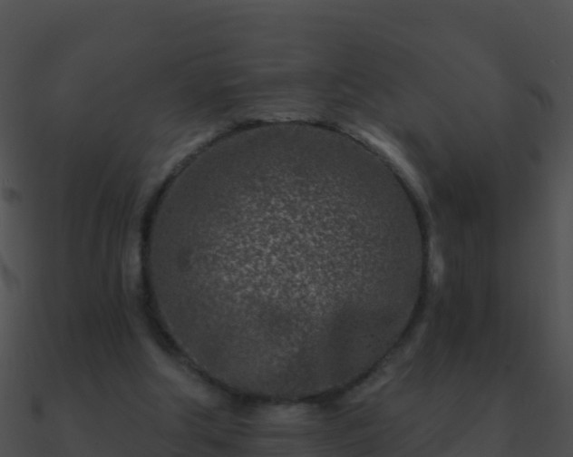 X0000090870202200708031016