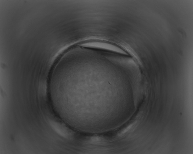 X0000090870204200708031016