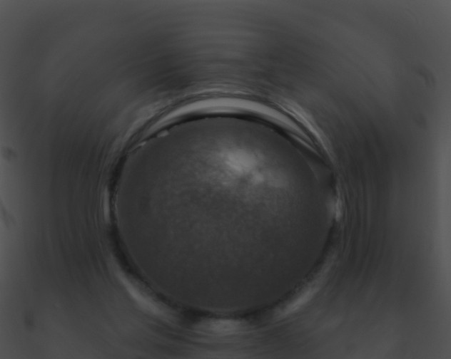 X0000090870205200708031016