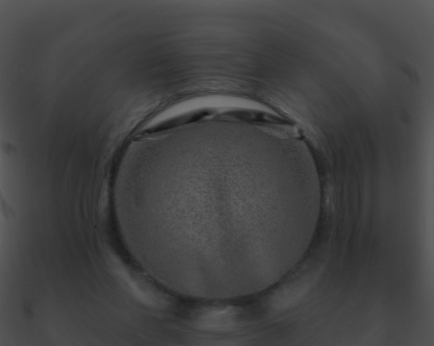 X0000090870206200708031016