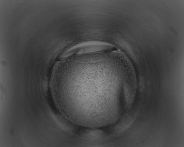 X0000090870210200708031016