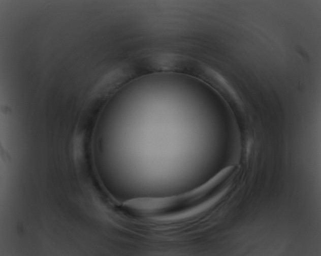 X0000090870217200708031016