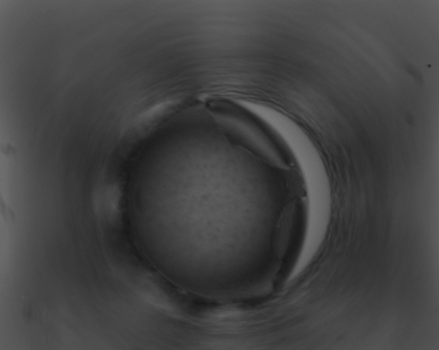 X0000090870219200708031016