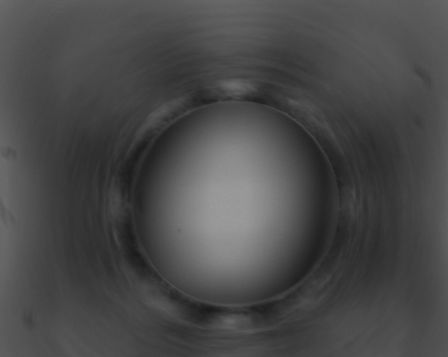 X0000090870220200708031016