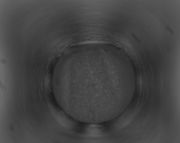 X0000090870222200708031016