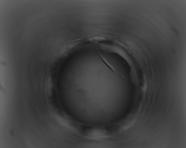 X0000090870223200708031016