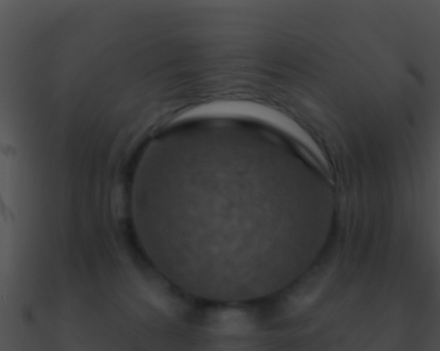 X0000090870224200708031016