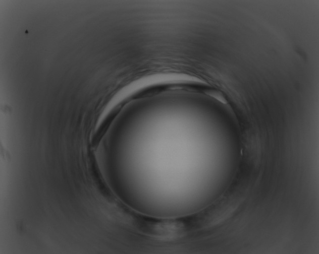 X0000090870225200708031016