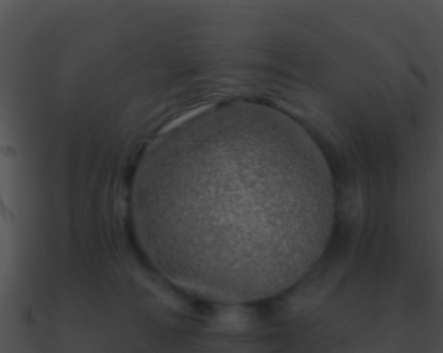 X0000090870226200708031016