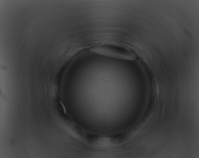 X0000090870227200708031016