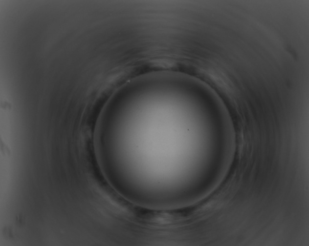 X0000090870229200708031016