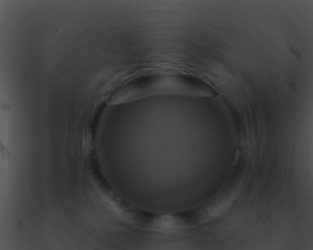 X0000090870231200708031016