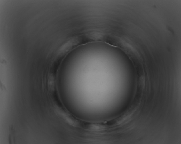 X0000090870234200708031016