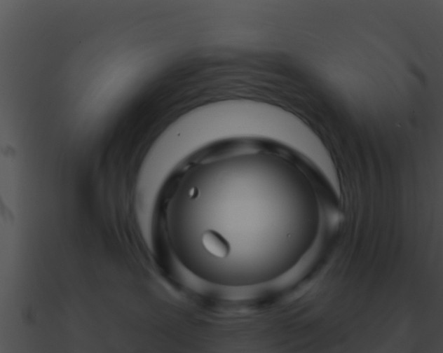 X0000090870239200708031016