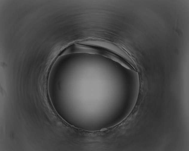 X0000090870241200708031015