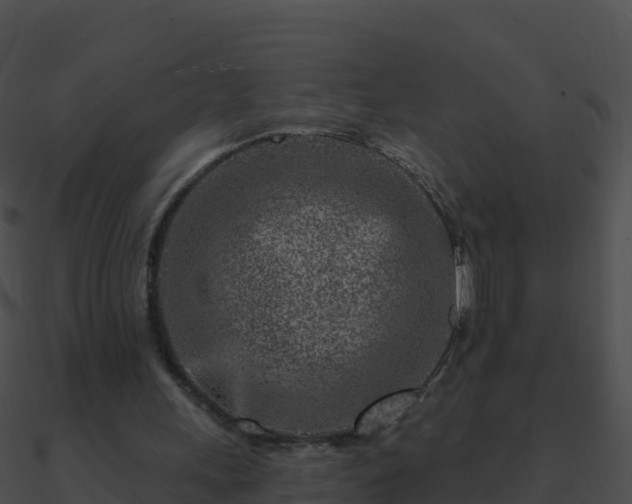 X0000090870243200708031015