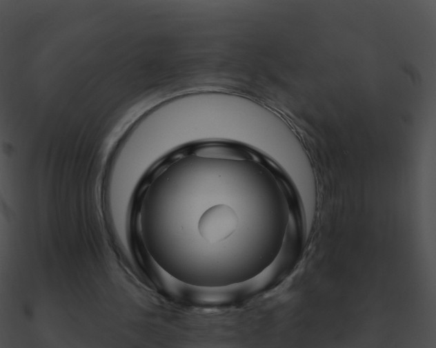 X0000090870244200708031015