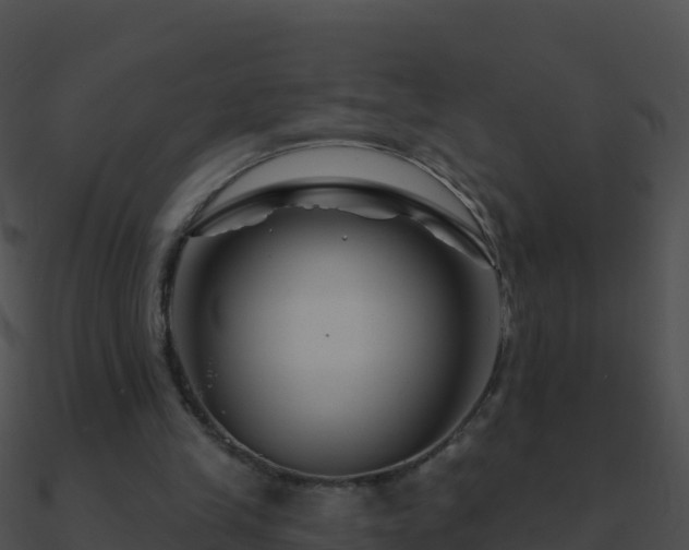 X0000090870245200708031015