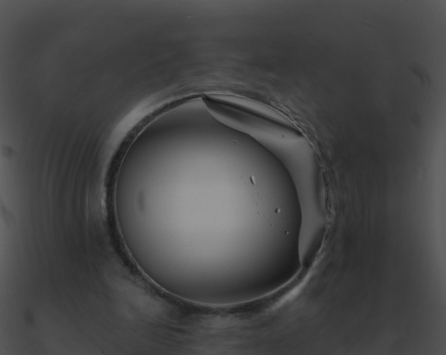 X0000090870246200708031015