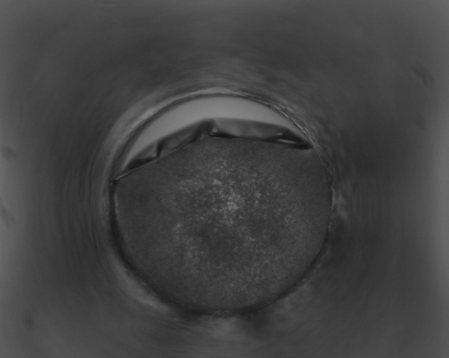 X0000090870247200708031015